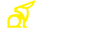 RobitDigitals Logo-Light